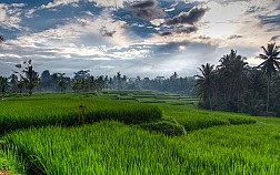 10 Điểm Tham Quan Nổi Tiếng Tại Hòn Đảo Bali