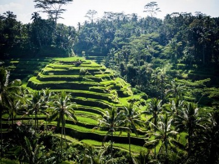 Đảo Bali Lọt Vào Top Điểm Đến Dành Cho Du Khách Độc Hành